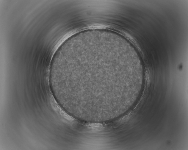 X0000114641186200912011041