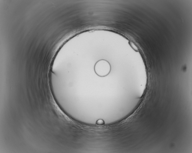 X0000114641189200912011041