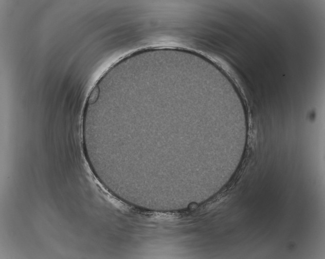 X0000114641191200912011041