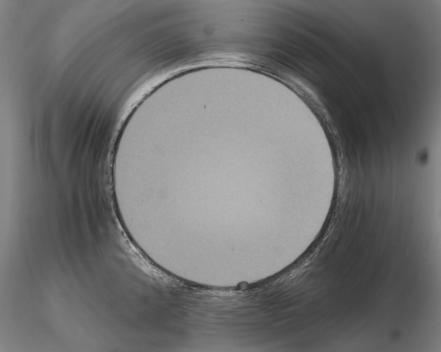 X0000114641192200912011041