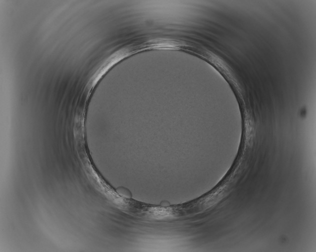 X0000114641194200912011041