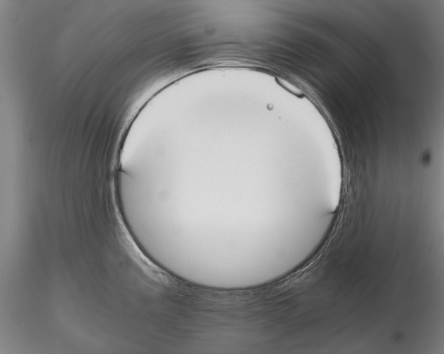 X0000114641195200912011041