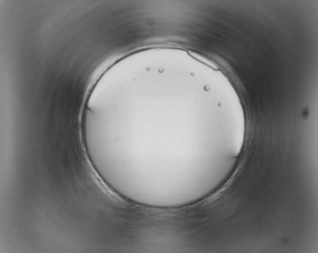 X0000114641196200912011041