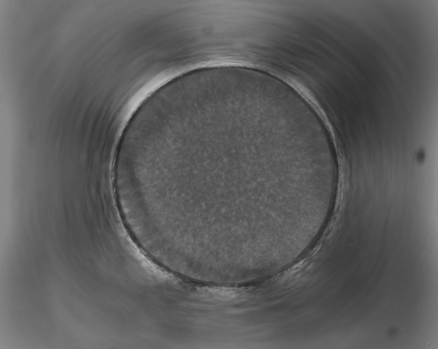 X0000114641197200912011041