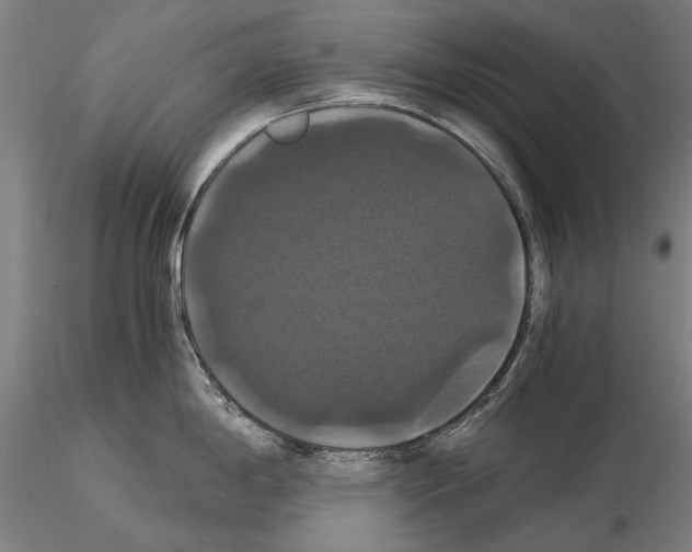 X0000114641198200912011041