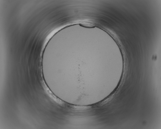 X0000114641200200912011041