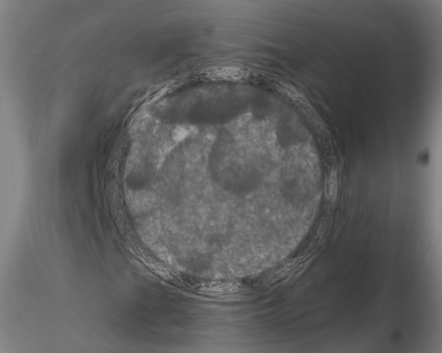 X0000114641201200912011041