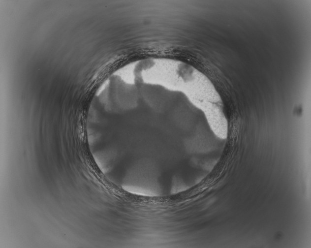 X0000114641202200912011041