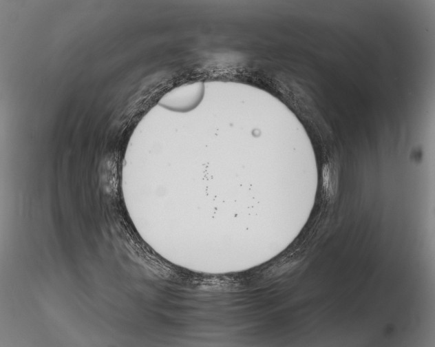 X0000114641203200912011041