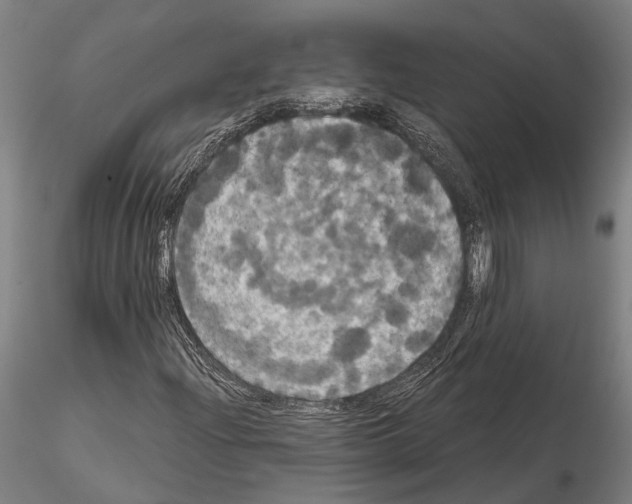 X0000114641204200912011041