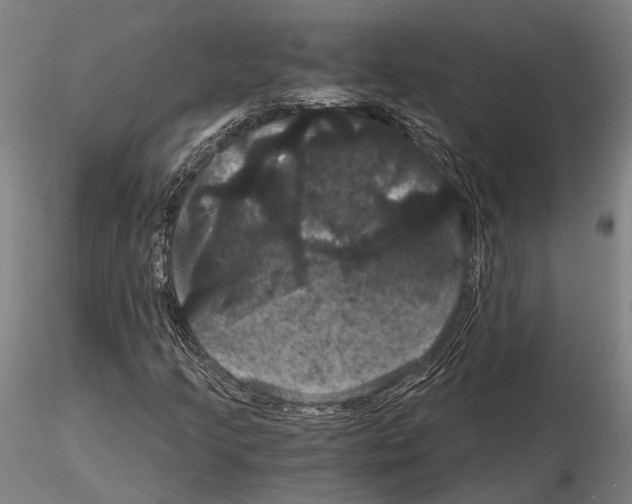 X0000114641205200912011041