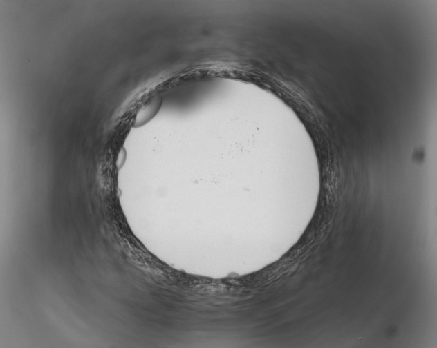 X0000114641207200912011041