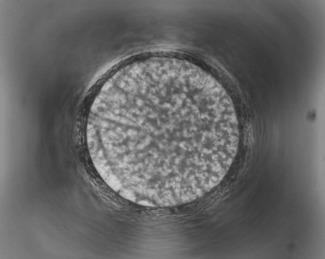 X0000114641208200912011041