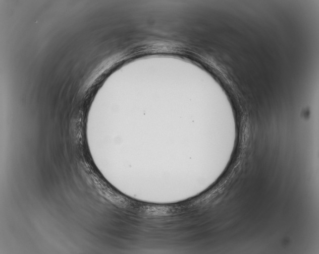 X0000114641211200912011041