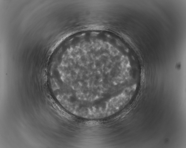 X0000114641212200912011041