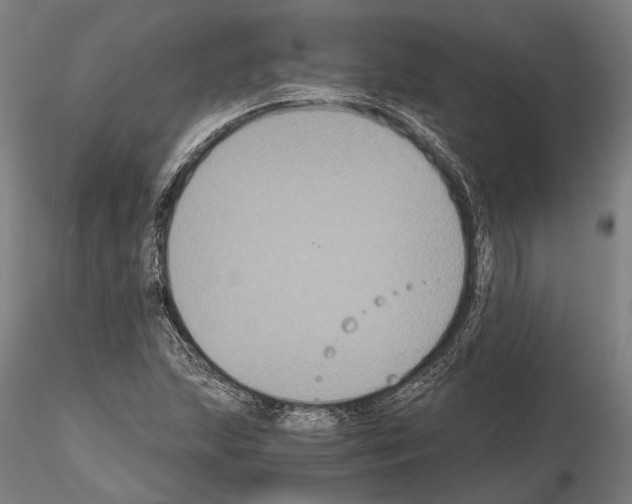 X0000114641215200912011041