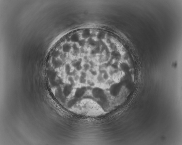 X0000114641216200912011041