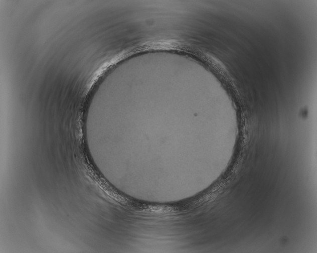 X0000114641218200912011041