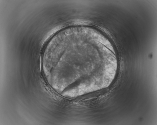 X0000114641219200912011041