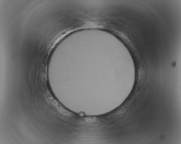 X0000114641220200912011041