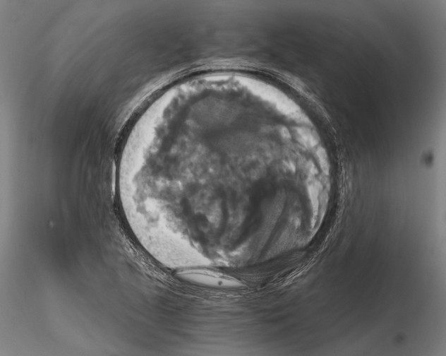 X0000114641221200912011041