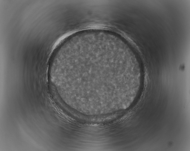 X0000114641222200912011041