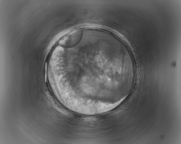 X0000114641223200912011041