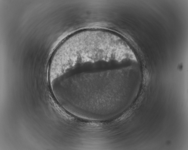 X0000114641224200912011041