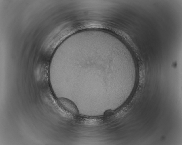 X0000114641225200912011041