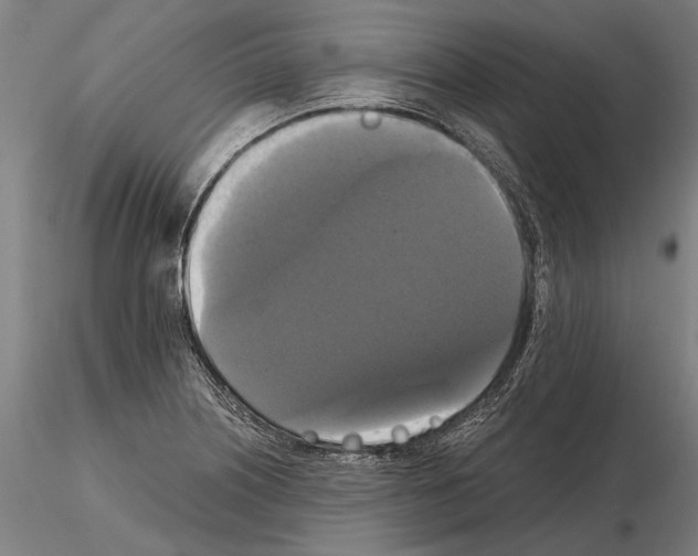 X0000114641226200912011041