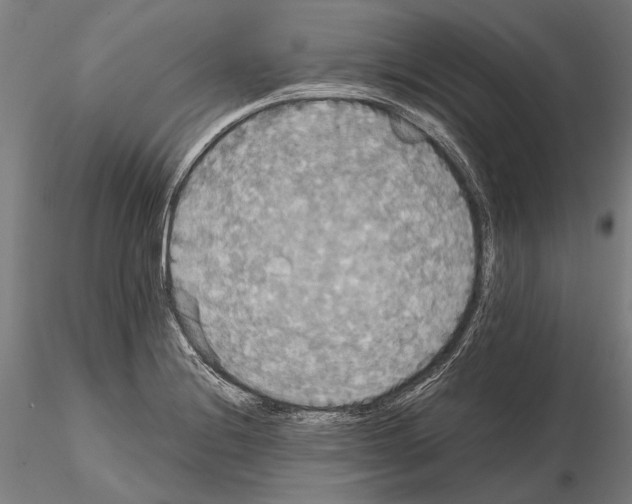 X0000114641228200912011041