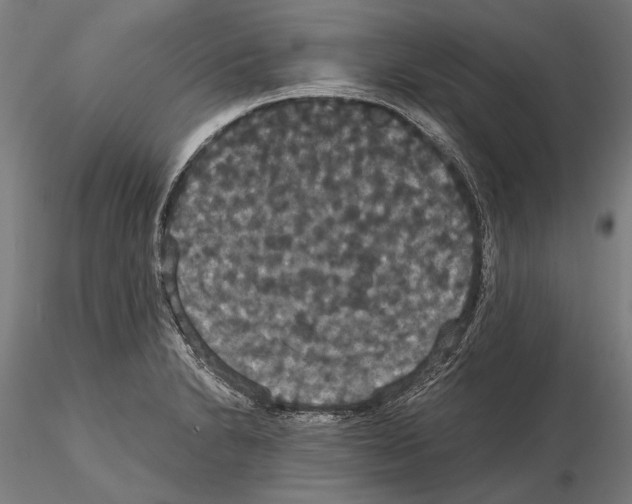 X0000114641230200912011041