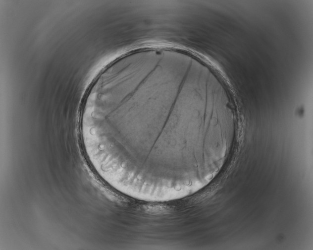 X0000114641231200912011041