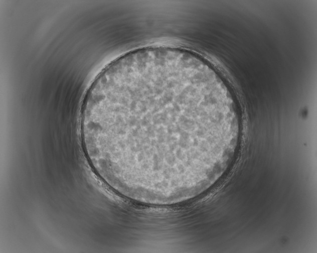 X0000114641232200912011041