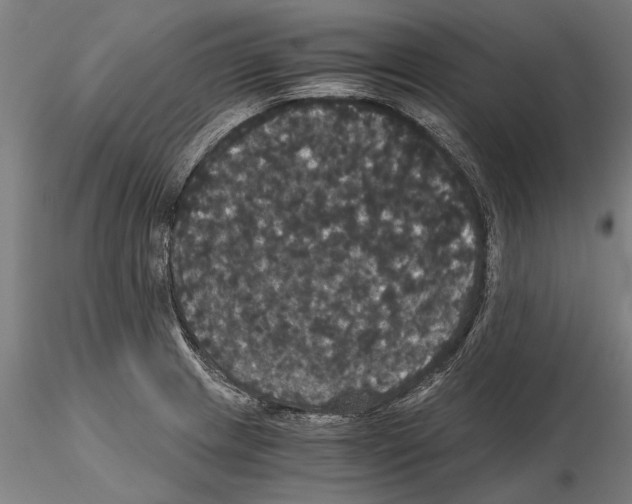 X0000114641233200912011041