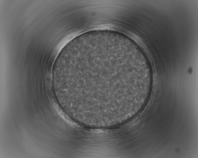 X0000114641234200912011041