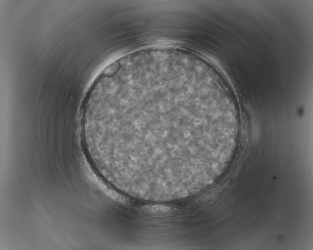 X0000114641235200912011041