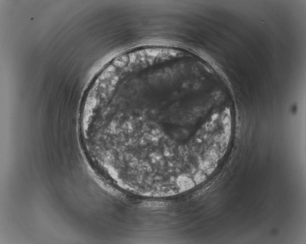 X0000114641237200912011041