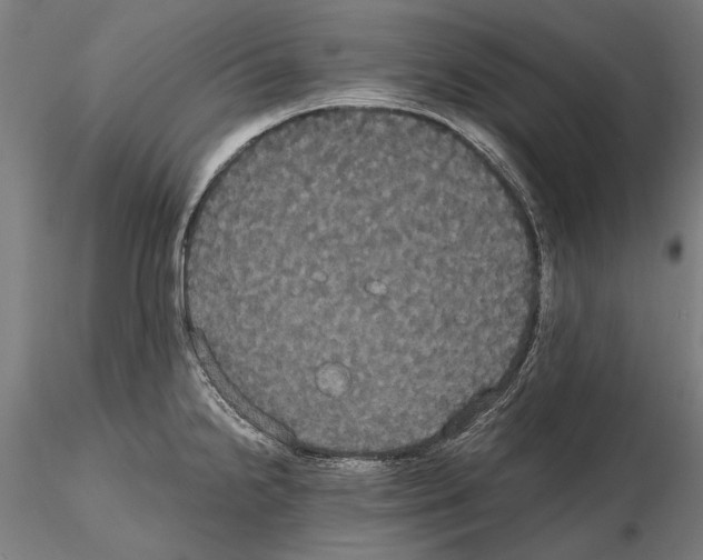 X0000114641238200912011041