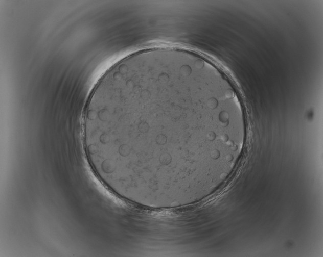 X0000114641239200912011041