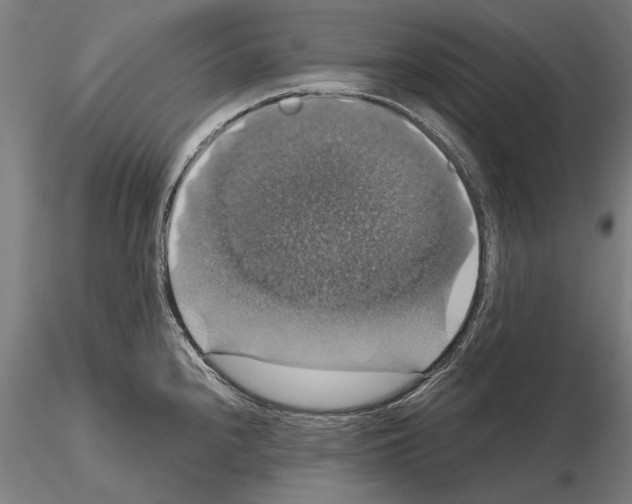 X0000114641240200912011041