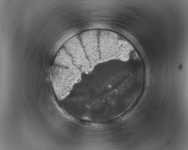 X0000114641241200912011041