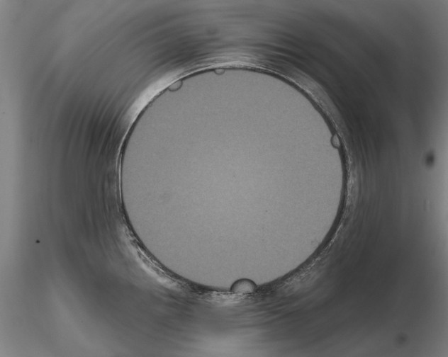 X0000114641242200912011041