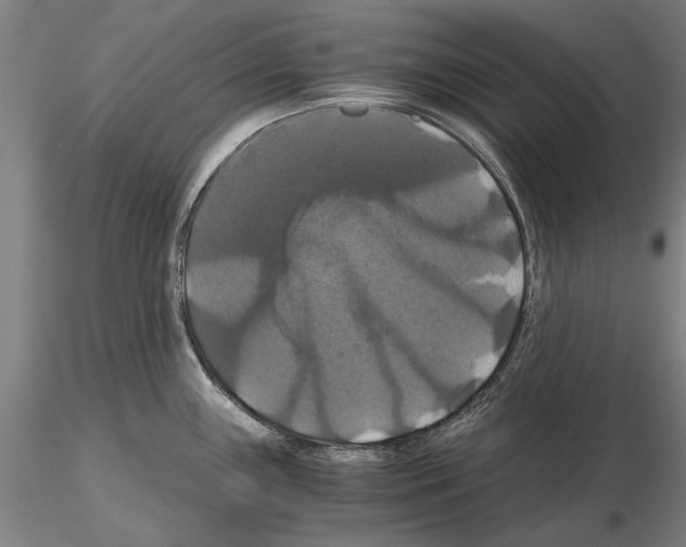 X0000114641243200912011041