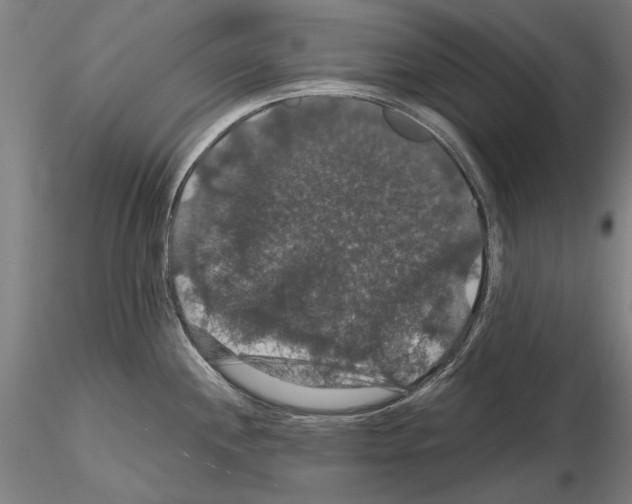 X0000114641244200912011041