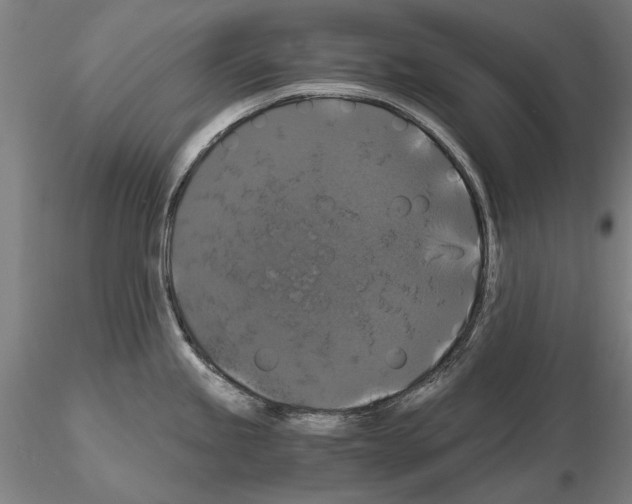 X0000114641245200912011041