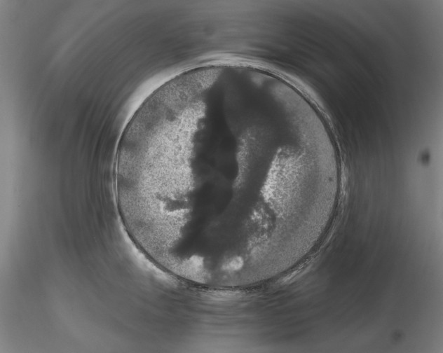 X0000114641247200912011041