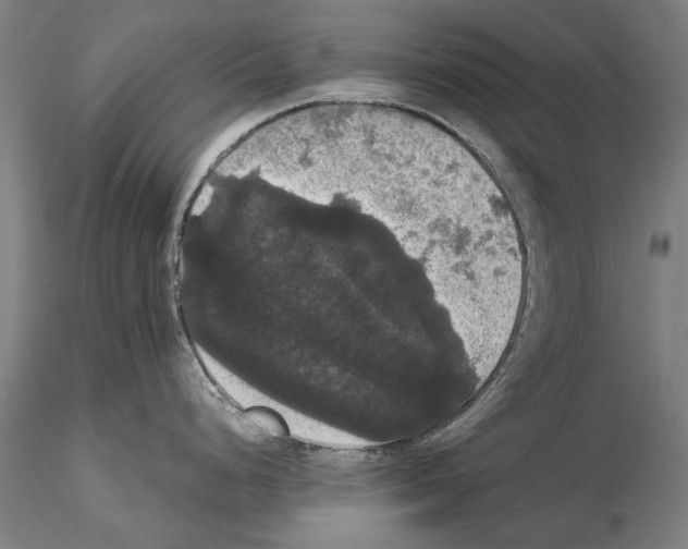 X0000114641248200912011041