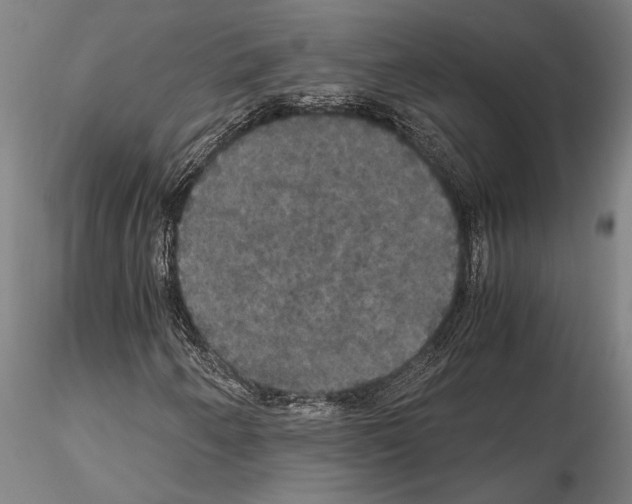 X0000114641250200912011040