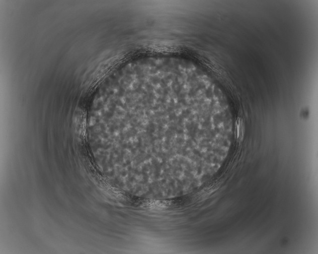 X0000114641251200912011040